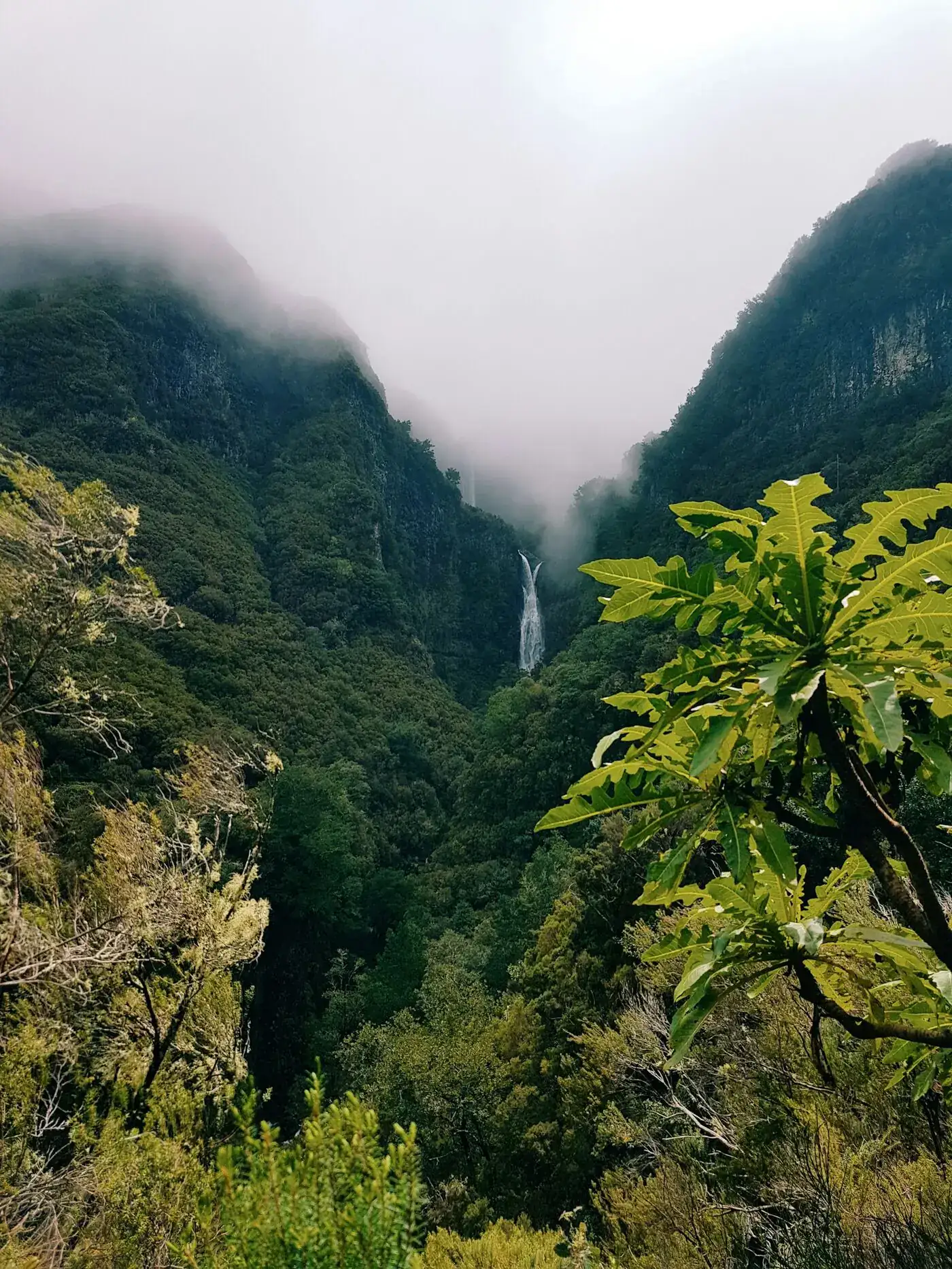 Funchal — City Tour